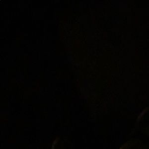 Meet your Posher, Jose